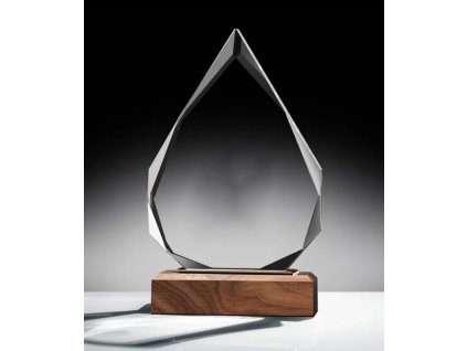 7161 plaketa drevo sklo 7018 krabicka