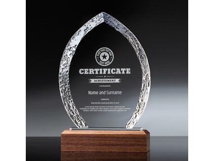 5082 plaketa drevo sklo 7050 krabicka