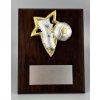 7014 drevena plaketa hg153 24 futbal kopacka lopta