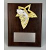 7032 drevena plaketa hg153 49 ryby rybarstvo