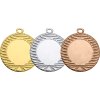 medaila D4001 - Z/S/B (Varianta medaila D4001, Zlato)