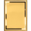 plaketa 5611  200x150mm (Varianta plaketa AL 5611 gold, 200x150mm)