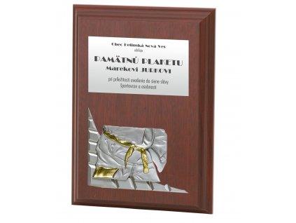 plaketa s 3D motívom 12213 karate, judo (Varianta plaketa s 3D motívom 12213 karate, judo, 105x150mm)
