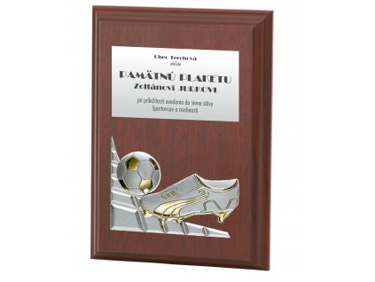 plaketa s 3D motívom 12217 futbal (Varianta plaketa s 3D motívom 12217 futbal, 105x150mm)