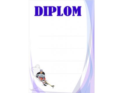 diplom 08 hokej