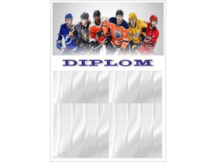 diplom 09 hokej