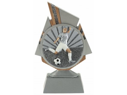 fg132029 futbal hrač