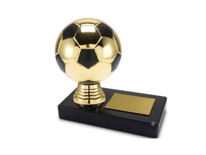 trofej 500454 - fotbal