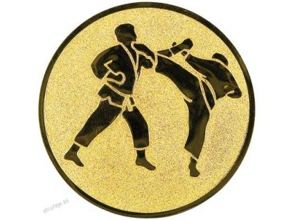 172 emblem 25mm 17 karate