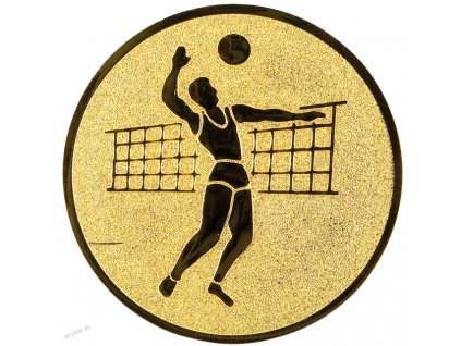 268 emblem 25mm 50 volejbal muzi