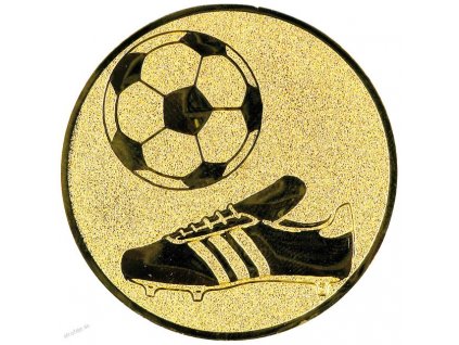 313 emblem 50mm 06 futbal