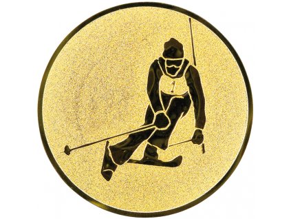 379 emblem 50mm 31 lyzovanie