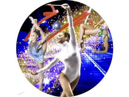 487 emblem b1 19 gymnastika 25mm