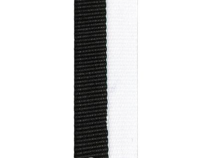 v2 zw wi
