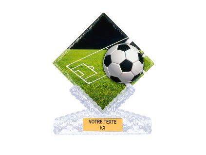 trofej 46110 - futbal