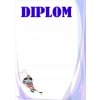 88 diplom 08 hokej