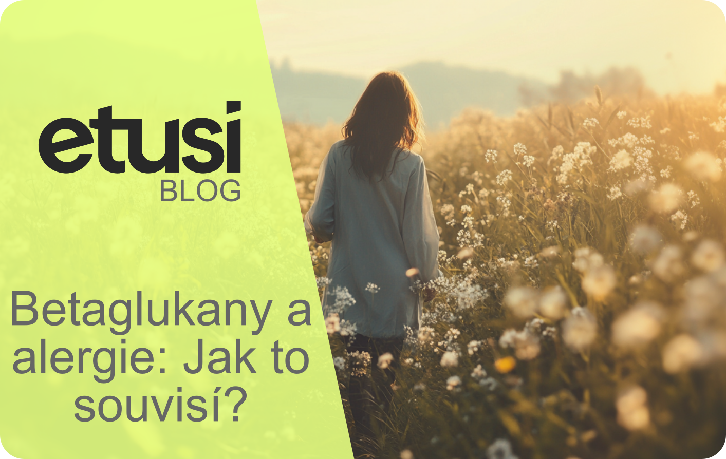 Betaglukany a alergie: Jak to souvisí?