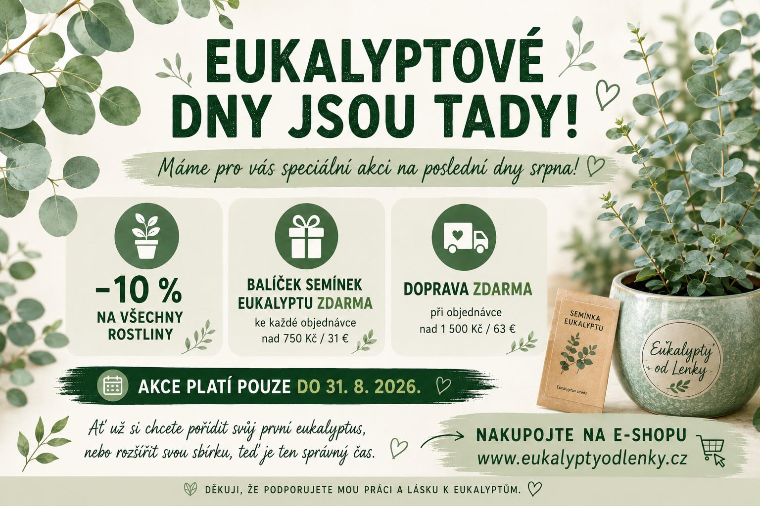 Eukalypty od Lenky