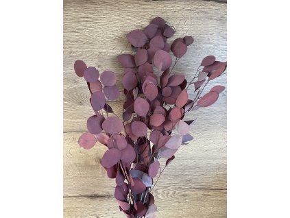 Stabilizovaný eucalyptus populus bordo 119 g