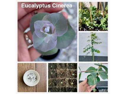 559005166 10236094943852931 7429402791800205399 n