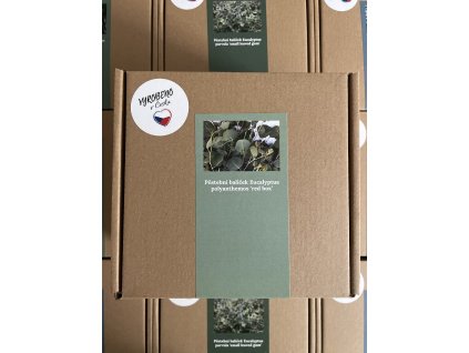 Pěstební balíček Eucalyptus polyanthemos ‘red box’