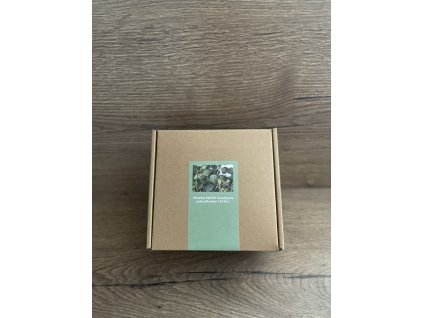 Pěstební balíček Eucalyptus polyanthemos ‘red box’