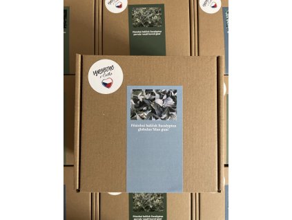 Pěstební balíček Eucalyptus globulus ‘blue gum’