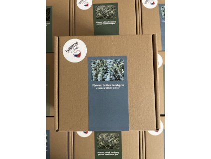 Pěstební balíček Eucalyptus cinerea ‘silver dollar’