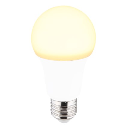 led bulb 10675k g27654