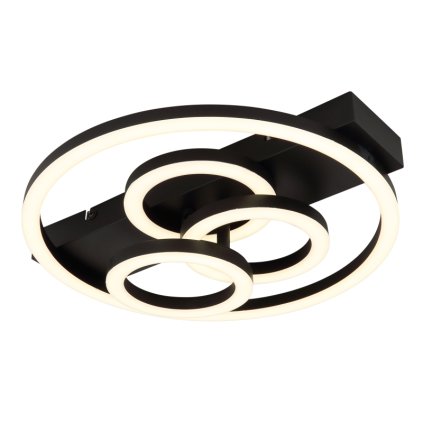 darryl i 48040 40 g29483