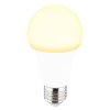 led bulb 10675k g27654