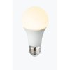 led bulb 10767ck g27617