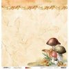 Studio Light • Scrap beauty of fall nr.54 1 scrapbookovypapir euphoriscz