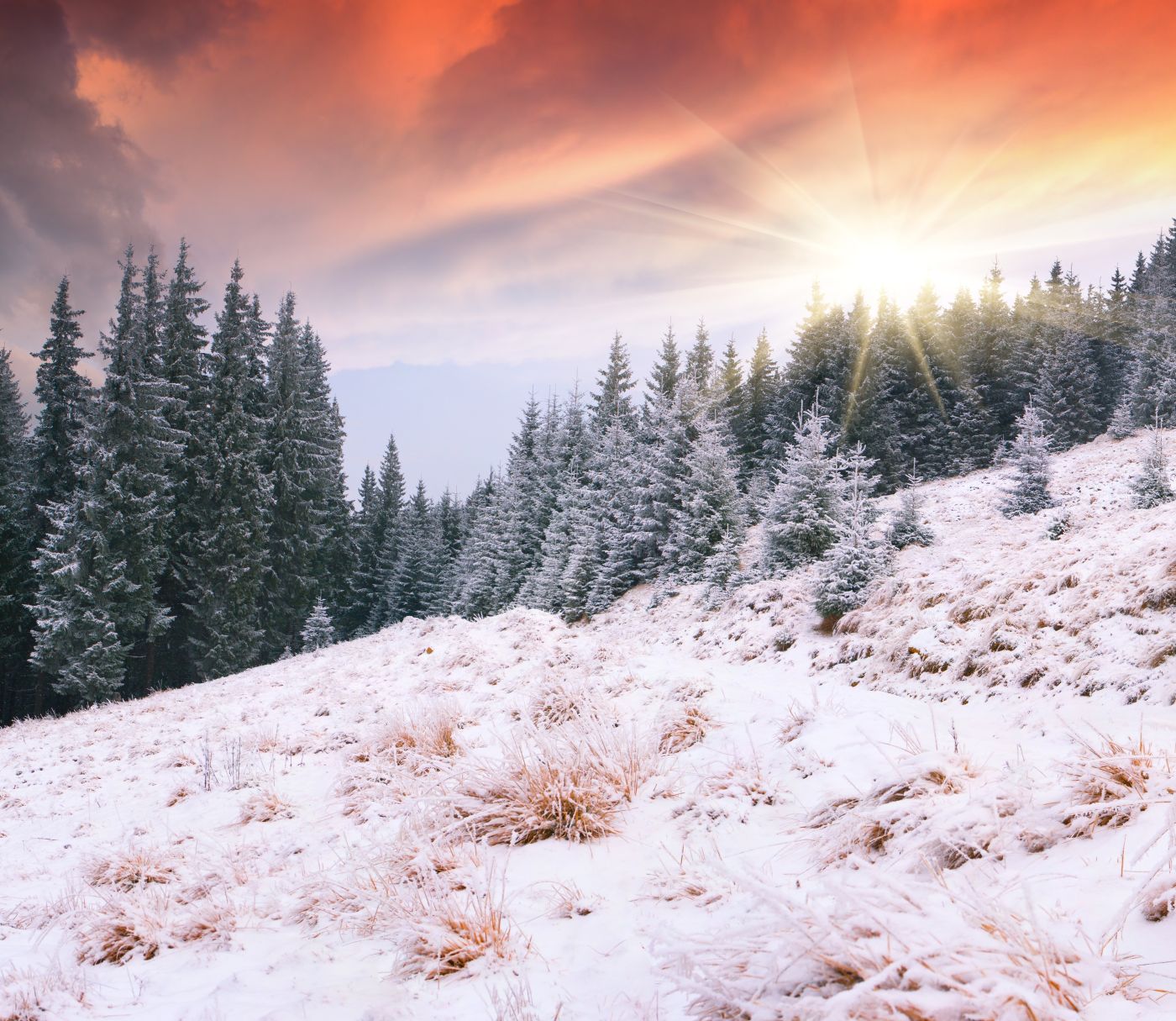 Svatá Kateřina a kateřinské zábavy