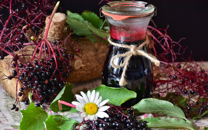 Před heřmánkem smekni, před bezem klekni: Díl 2.