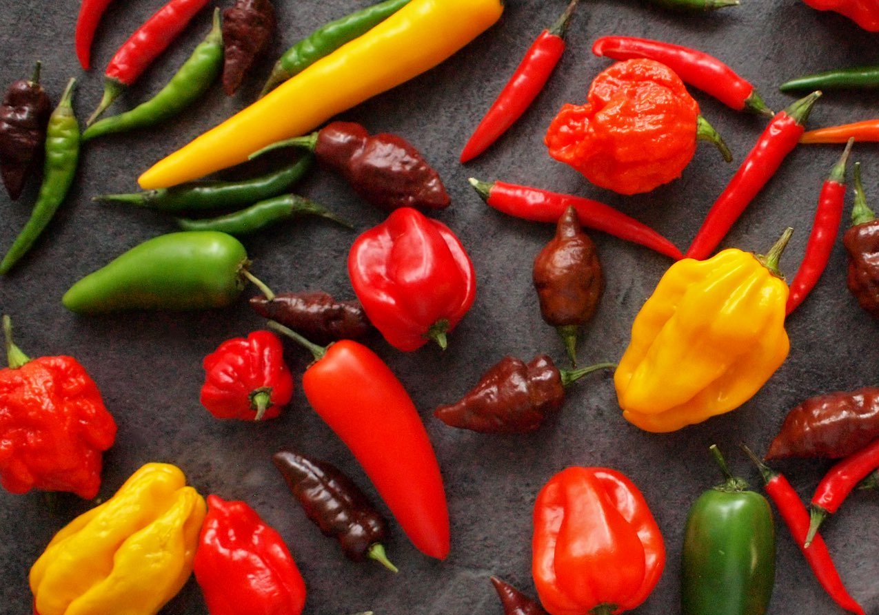 Jsou chilli papričky stále oblíbené?