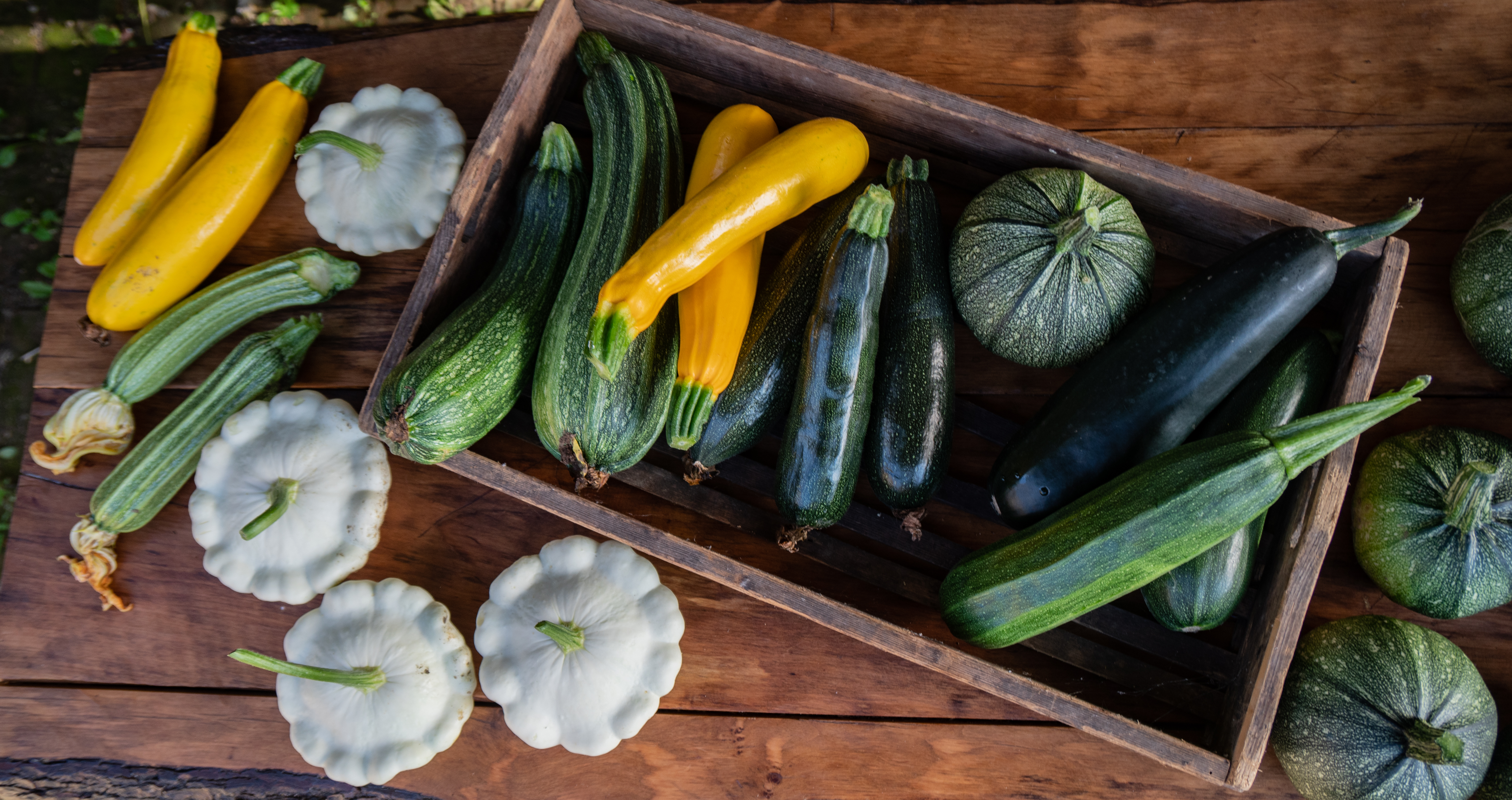 Cuketa- malá velká zelenina