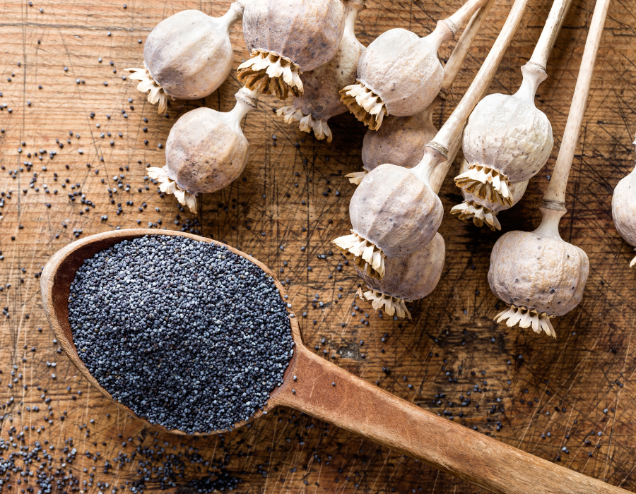 Mák modrý: Skvost mezi superpotravinami s bohatou historií