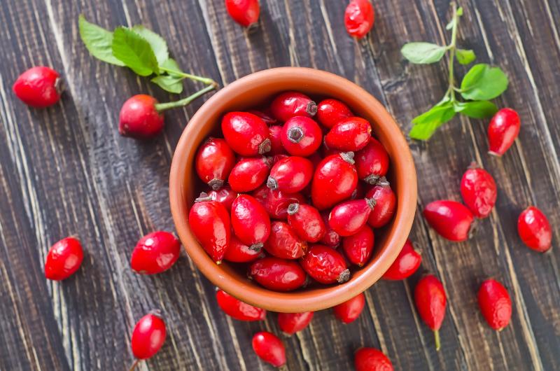 Podzimní poklad v podobě šípků: kde je najít, jak je sbírat a co s nimi dělat