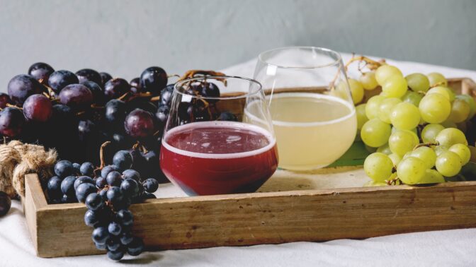 Podzimní sezóna vína a burčáku: Vinobraní, druhy vína a tajemství burčáku