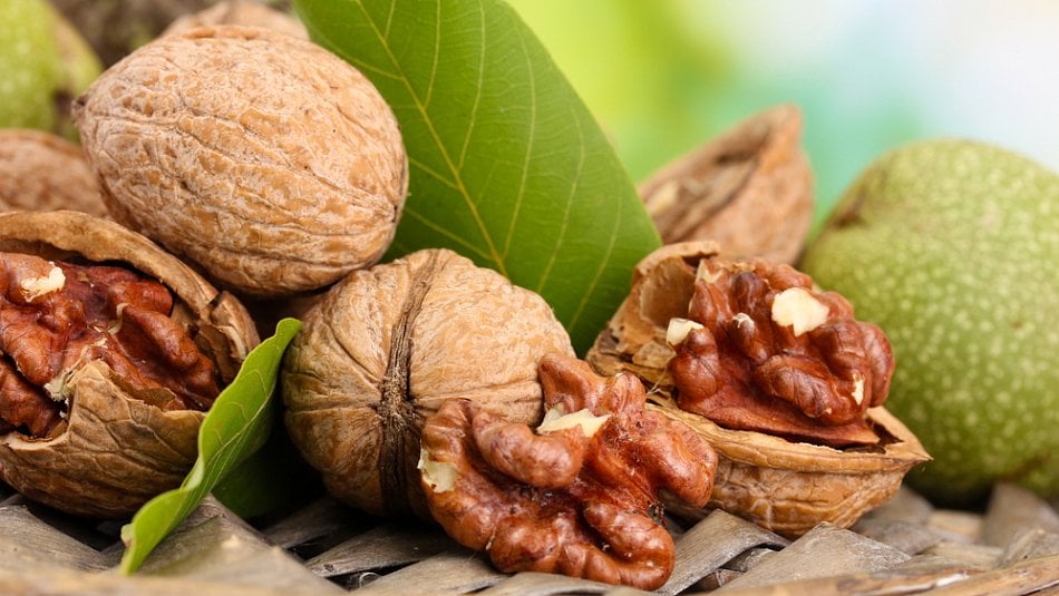 Vlašské ořechy- jídlo nejen pro mozek