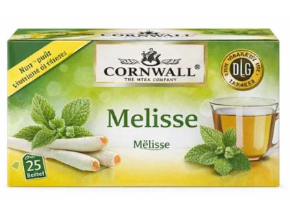 Snímek obrazovky 2025 12 17 163849