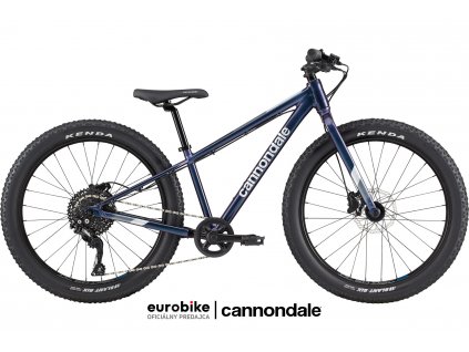 CANNONDALE Cujo 24+ RACE 2023 Chameleon