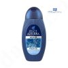 paglieri felce azzurra shower gel fresh ice for men 400ml