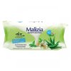 salviette multiuso detergenti e rinfrescanti con aloe e te verde72 pezzi 005308