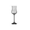 Grappa / cherry glass 55 ml  ( 45.5 Kč / 1 KS )