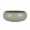 circus-zelena-miska-coupe--16-cm-04