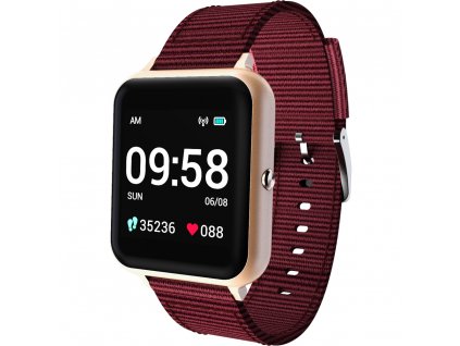 Lenovo Smart Watch S2 Gold chytré hodinky