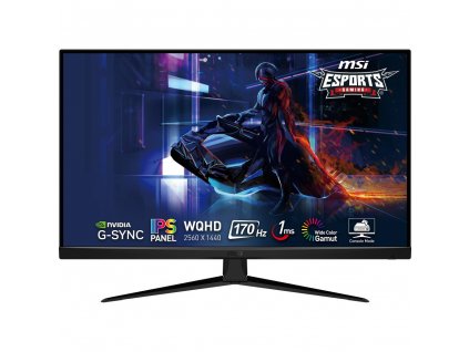 G321Q 31,5 WQHD IPS 170Hz 1ms MSI