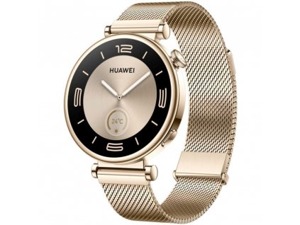 Watch GT4 41mm Elegan HUAWEI